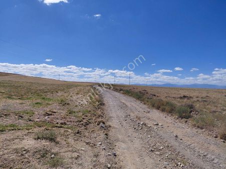 Bizim Emlak'tan Mevlütlüde 31.517 M² Tarla