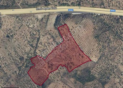 Çamlıkta 37 Dönüm Tarla Kuşadasına 15 Dak Mesafede