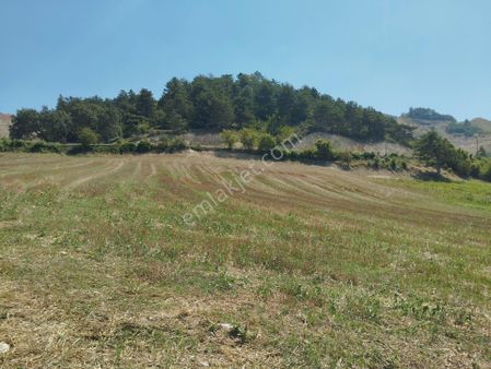 Çaygökpınar Köyü'nde Satılık Tarla Altın Emlak'tan