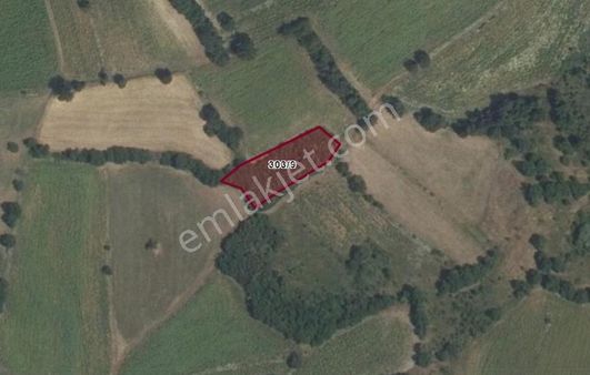 Amasya Taşova Borabay Köyü 1332 M² Tek Tapulu Yatırımlık Arazi