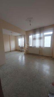 Çarşı İçinde 3+1