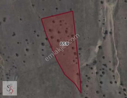 Sürşen Premium Group'dan Acil Fırsat Kupon Tarla !!!