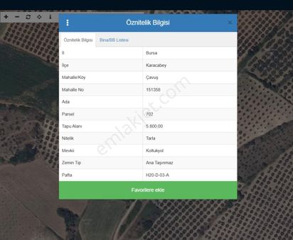 Karacabey Çavuş Köy'ünde 100 Adet Zeytin Ağacı 5800 M2 Zeytinlik