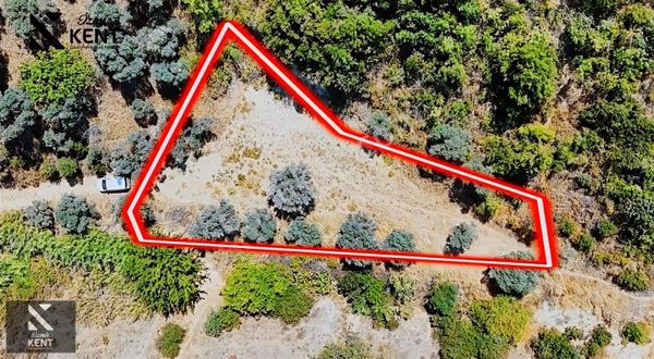 Kemalpaşa Yukarıkızılca Satılık 950 M2 Bahçe Tek Tapu