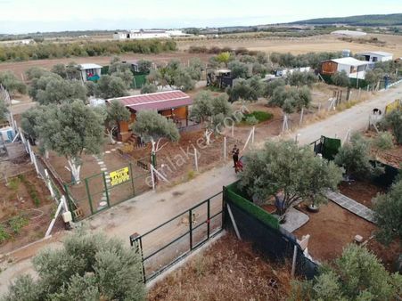 Oğlananası Köyünde; 200 M2 Bahçe İçerisinde - Elektrik Ve Suyu Aktif - 35 M2 Satılık Müstakil Ev