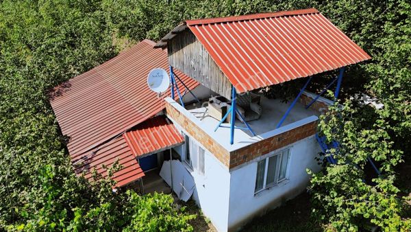 Aydın Emlak'tan Satılık Fındık Bahçesi 2.488 M2