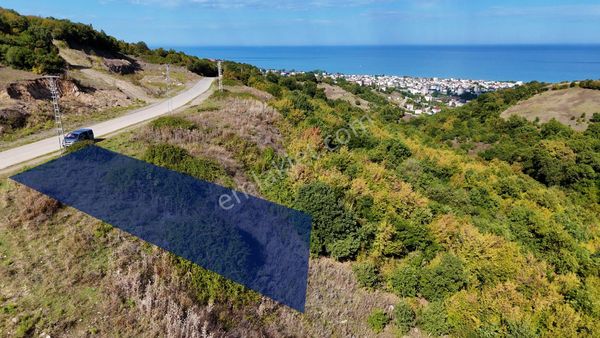 Orman Sınırında Deniz Manzaralı Köşe Parsel