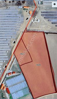 Eskişehir İnönü Tutluca Mh. Satılık 20.650 M2 Tarla