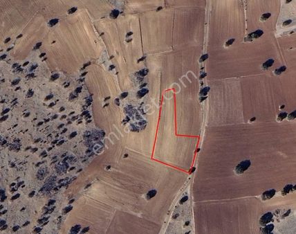 Hacılarda Ucuza Anayol Yakını Tarla