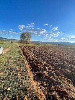 Hacılarda Kelepir Çiftlik Arazisi