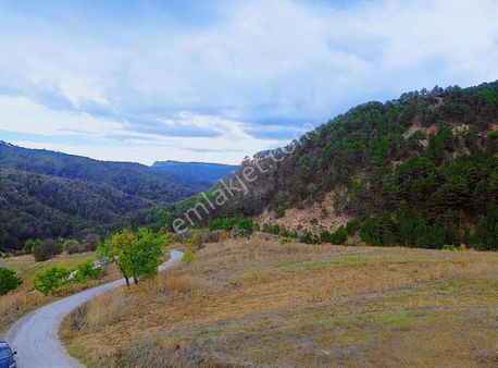 Göynük Bekirfakılar Köyünde Manzaralı 694 M2 Satılık Arazi