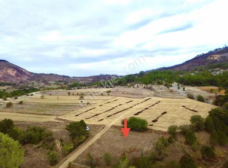 Göynük Bekirfakılar Köyünde 1223 M2 Yatırımlık Satılık Arazi