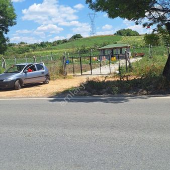 Kırklareli Babaeski Pancar Köyü Satılık Tarla