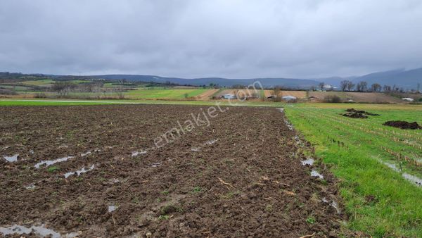 Bursa Mustafakemalpaşa Demireli De Satılık Tarla