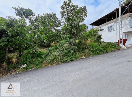 Avantaj Gayrimenkul'den Canik Düvecik Projeli İmarlı Arsa