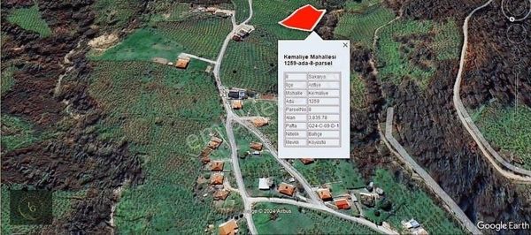 Uzunalioğlun'dan Tek Tapu Fındık Bahçesi Müstakil Parsel Fırsat