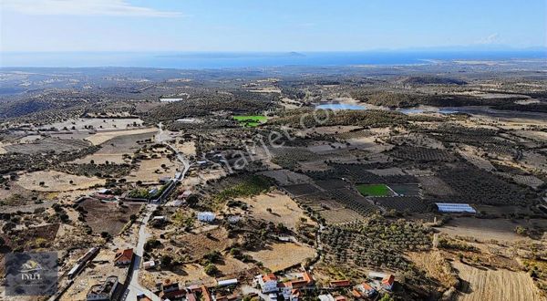 Çanakkale Ezine Kemallı Köyünde Panoramik Manzaralı Satılık Arsa