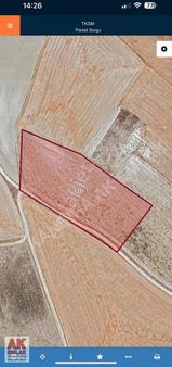 Eskişehir Sivrihisar Da Araç Takaslı 11 Dönüm Arazi