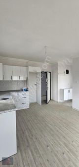 ~çarkıparenin En Uygunu~