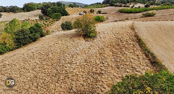 Bursa İnegöl 7,5 Dönüm Tek Tapu Köye 300 M Tarla