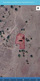 Çakırdan Güdül Çağda Müstakil Tapulu Kelepir Arsa