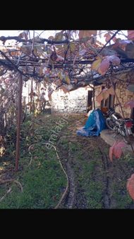 İbecikte Satılık Müstakil Ev