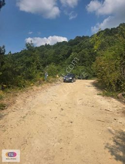 Bursa İnegöl Bahariye Satılık Tarla