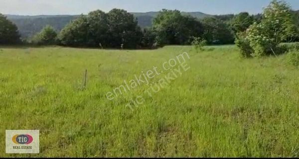 İnegöl Küçük Yenice Tarla