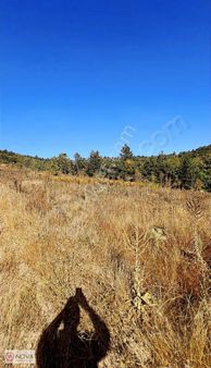 Bilecik Pazaryeri'de Satılık Yollu Arazi