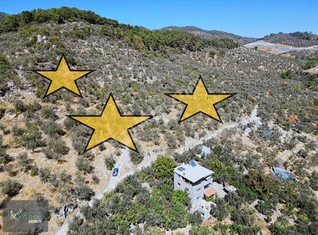 Yeşilyurt Köyünün Gözde Bölgesinde 10 Dönüm Yolu Olan Zeytinlik