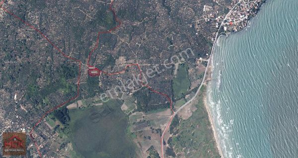 Erdek Hamamlı'da 3850m² Satılık Zeytinlik