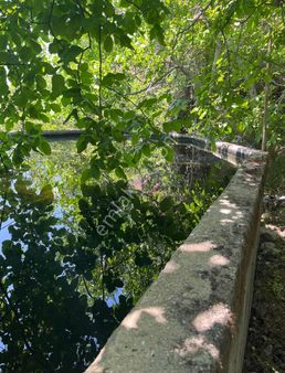 Kaş Gürsu Da Fırsat Yatırımlık Satılık Tarla