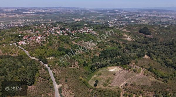 Serdivan Çubuklu 42 M Anayola Cepheli 1436 M2 Satılık Tarla