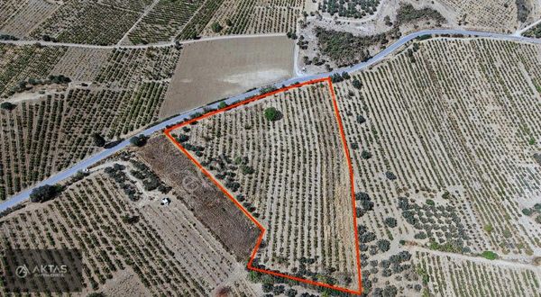 Aktaş Gayrimenkuldan Geyve Umurbey 14.089 M2 Satılık Tarla