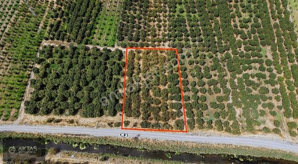 Aktaş Gayrimenkuldan Geyve Umurbey 2.274 M2 Satılık Tarla