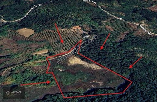 Geyve Alıplar'da Satılık 2 Adet Parsel 9876m2