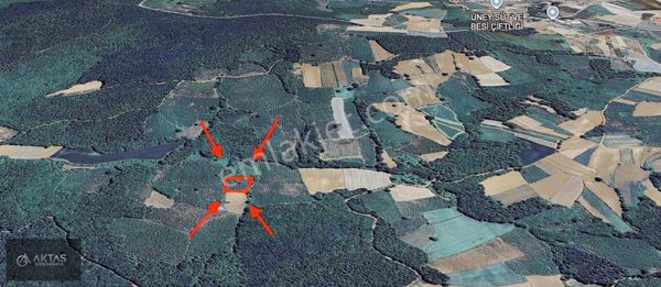 Kaynarca Uğurlu'da 2275m2 Yatırımlık Fındıklık