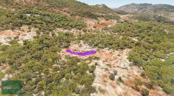 Marmaris Taşlıca'da Fırsat Tarla