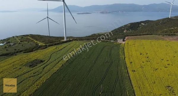 Mayadan Gyo Hıdırda Tek Tapu Satılık Arsa