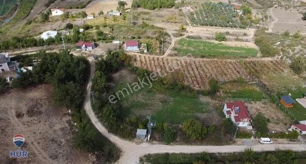 Remax Ümit Doğan Dan Geyve Kozan Da Satılık Tarla