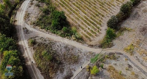 Remax Ümit Doğan Dan Geyve Kozan Da Satılık Tarla