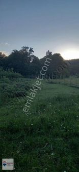 Yalova Armutlu Mecidiye Köyünde Satılık 4500 M² Tarla