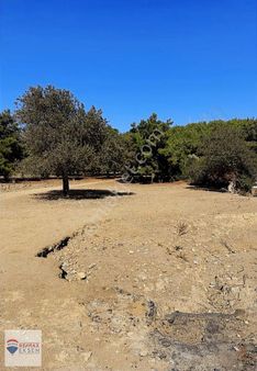 Bodrum Konacık Satılık Arazi