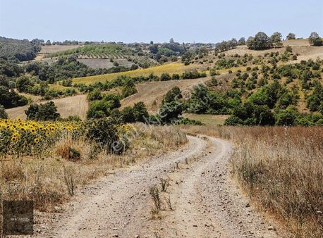Meb Gayrimenkul Kandıra'da Uygun Fiyatlı Satılık Tarla