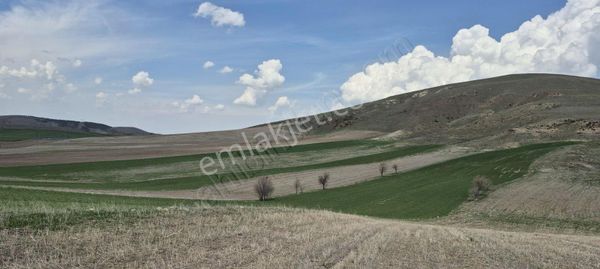 Beynam Satılık Tek Tapu Sanayi Üstü Fırsat Tarla