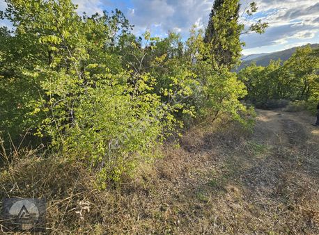 Ayzama Soğuksu Köyü'nde Satılık 1476 M2 Arazi