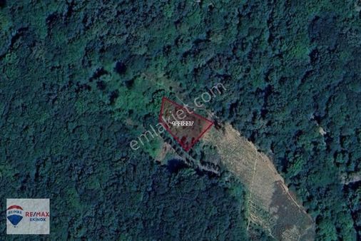 Demirköy'de Telefon Fiyatına Yatırımlık Fırsat 439 M2 Tarla !