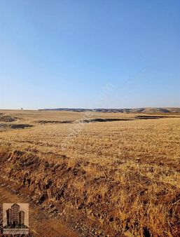 Geylani Emlaktan Diyarbakır Ergani Kıralan Köyünde Satılık Tarla
