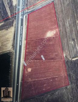 Geylani Emlaktan Ergani Aşağı Kuyulu Ana Yola Cephe 38 Dönüm