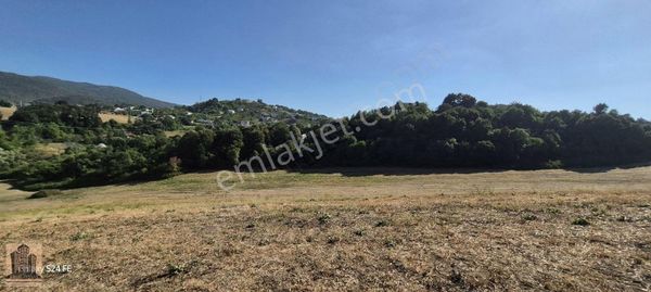 Geylani Emlaktan Elmalık Köyünde Satılık Tarla.